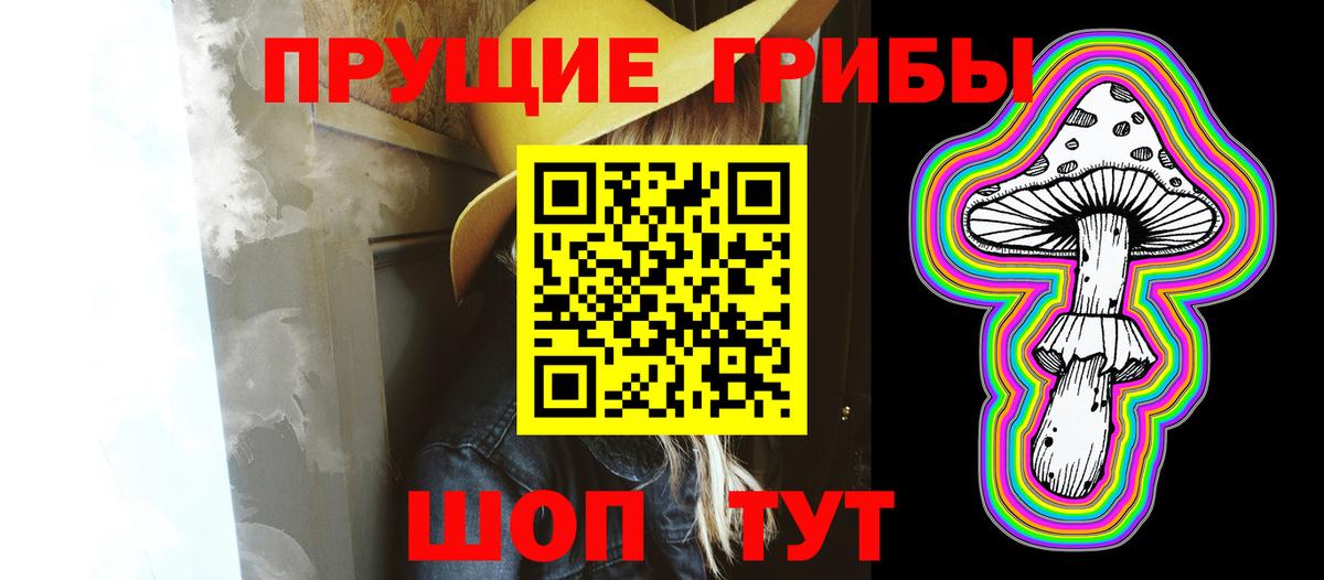 купить закладку  Псилоцибиновые грибы MAGIC MUSHROOMS  Вход с VPN  Лосино-Петровский 